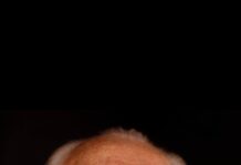 Michael Sheen Mourns the Loss of His Father, Meyrick Sheen